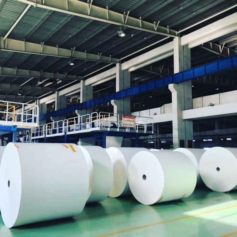 Coated White Test Liner