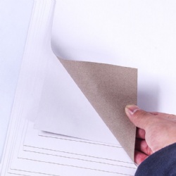 Coated White Test Liner